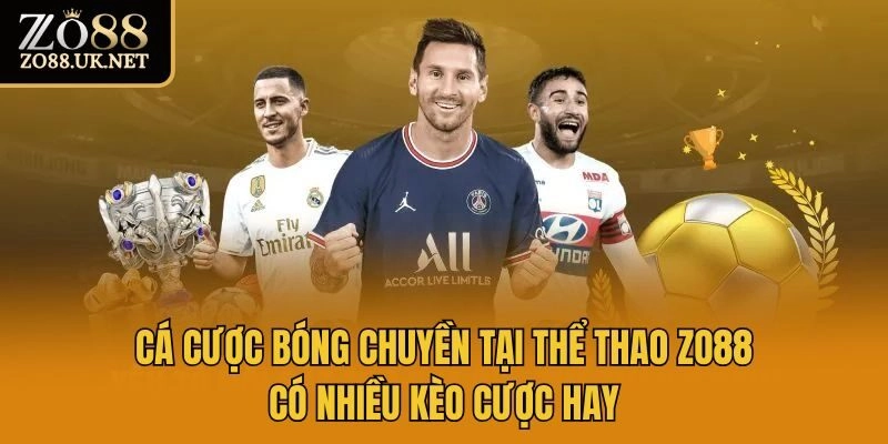 Cá cược bóng chuyền tại thể thao Zo88 có nhiều kèo cược hay