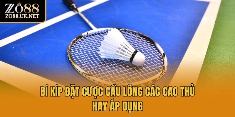 Bí kíp đặt cược cầu lông các cao thủ hay áp dụng