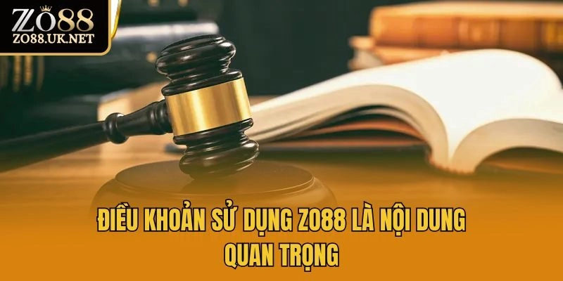 Điều khoản sử dụng Zo88 là nội dung quan trọng